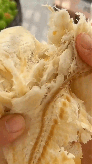鱼片2202511110465368.gif