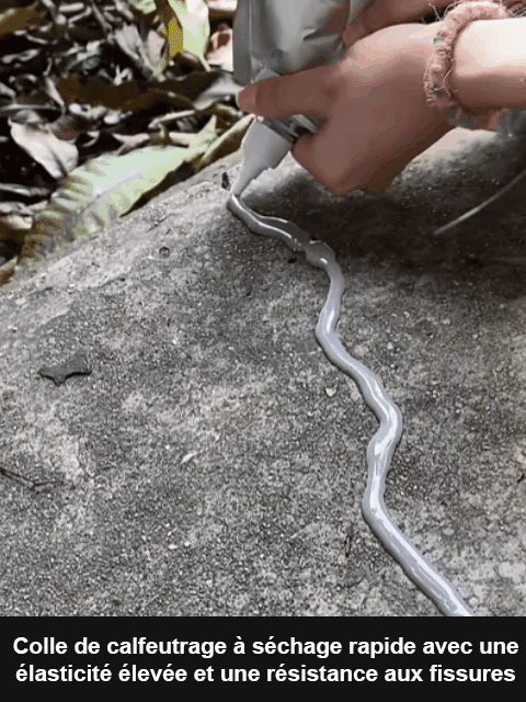 【10 secondes de séchage rapide】Colle de réparation de fissures pour toiture et sol.