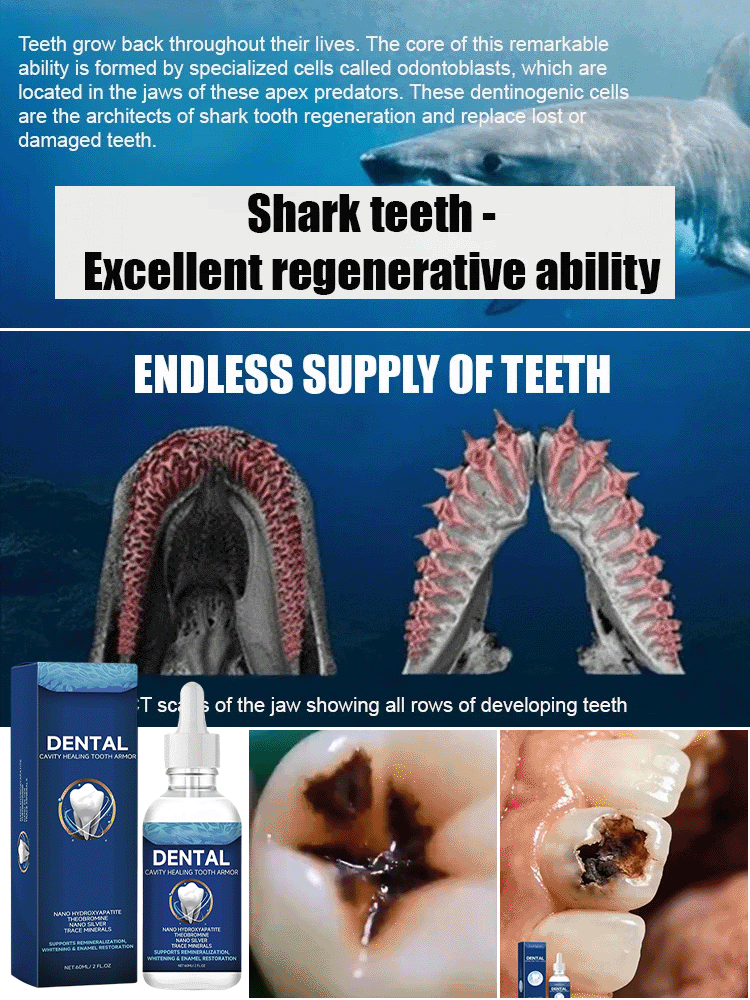 🦷 Tooth Regeneration Care Drops Powered by Shark Cartilage Protein + Hydroxyapatite  ✨Whitens teeth • Repairs enamel • Freshens breath • Supports natural tooth renewal