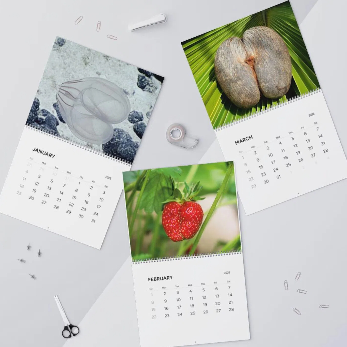 Natures Butt 2026 Calendar