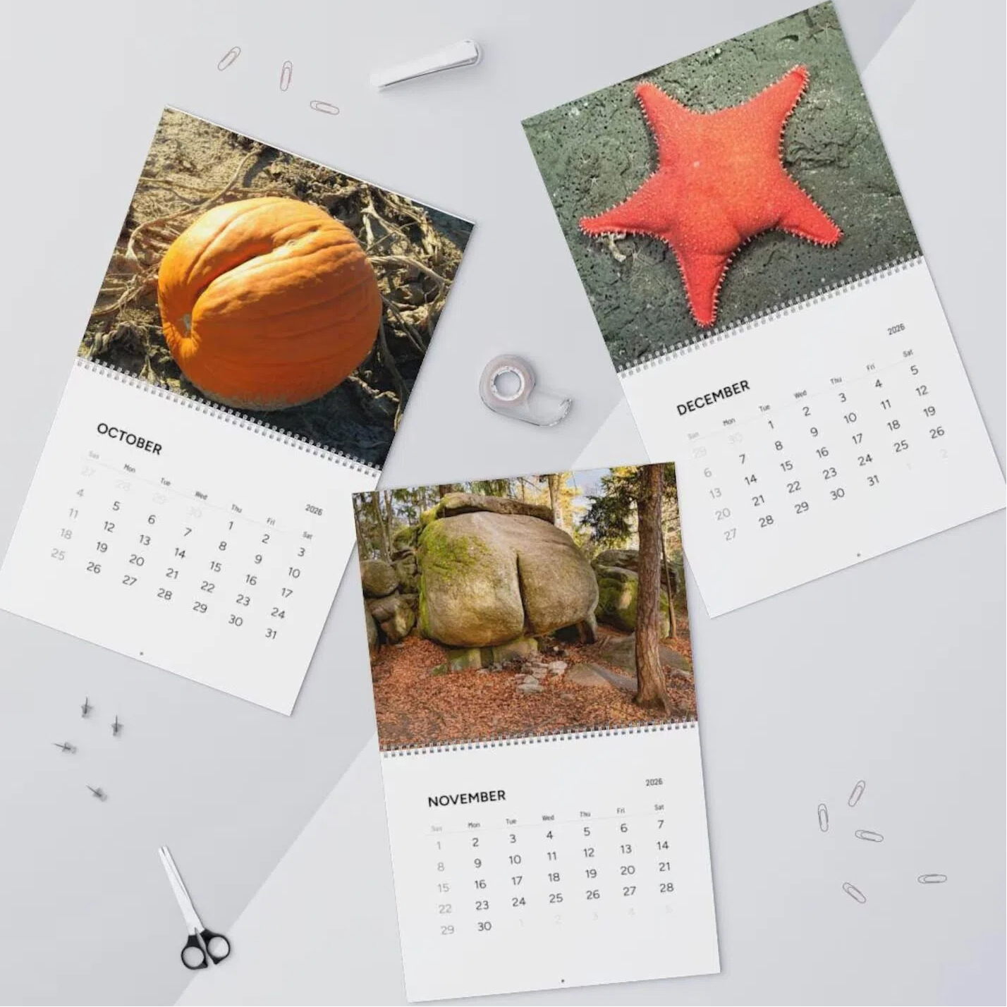 Natures Butt 2026 Calendar