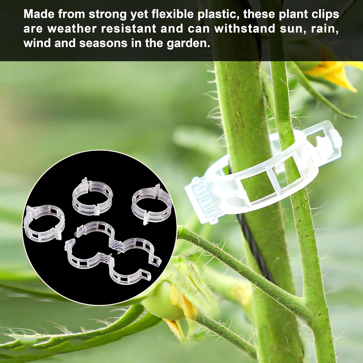 🔥Hot Sale 49% off🌟🌿 100 Counts Plant upright growth support device