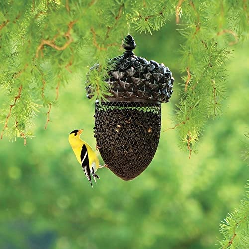 Acorn Bird Feeder