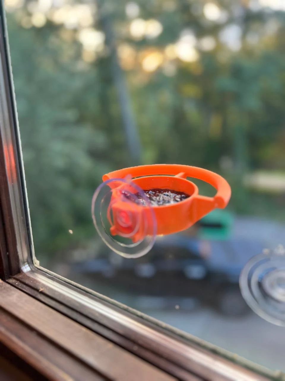 🔥Last Day 49% OFF - 🐦🪟Bird Feeder Suction Cup Holder