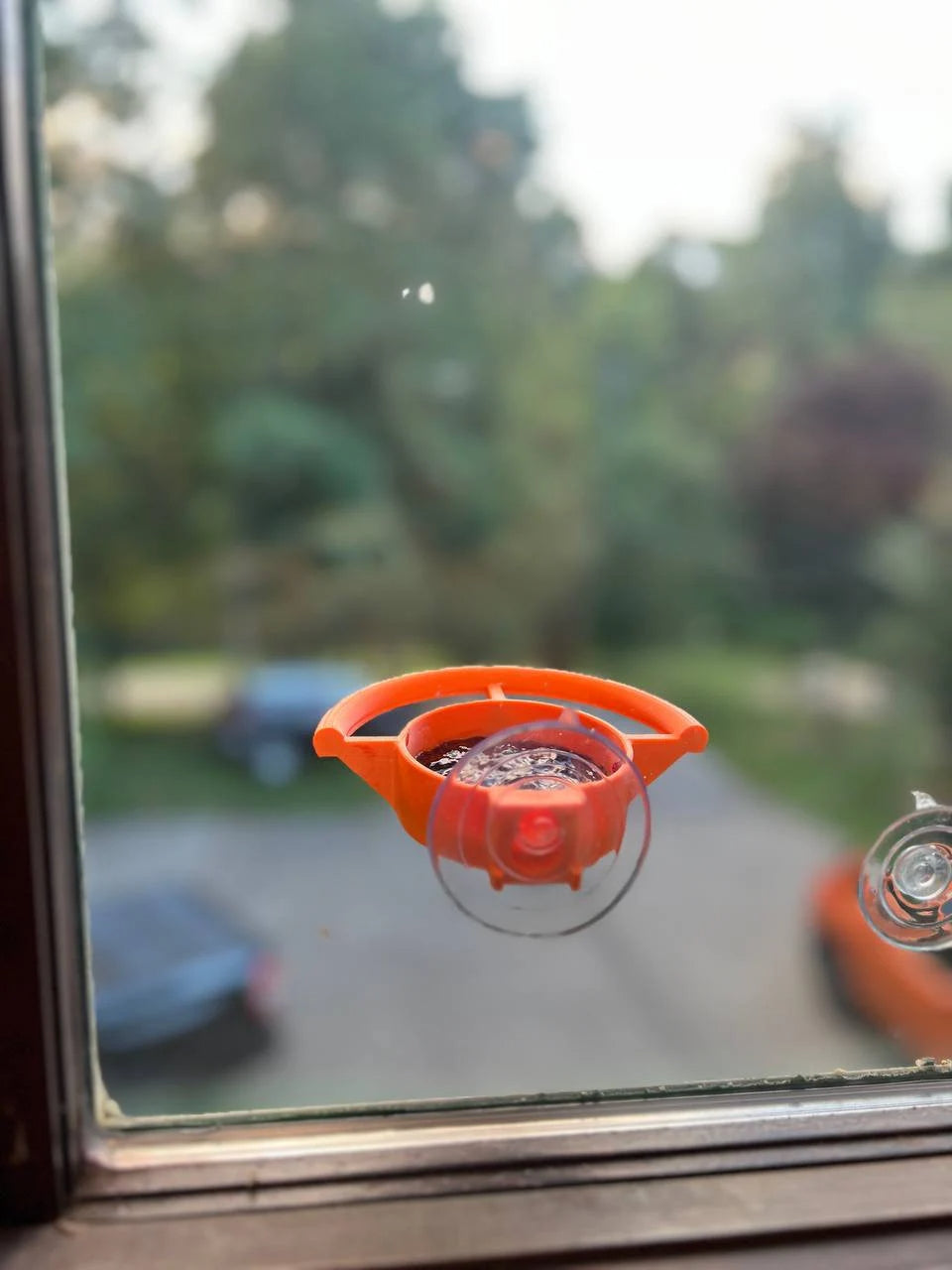 🔥Last Day 49% OFF - 🐦🪟Bird Feeder Suction Cup Holder
