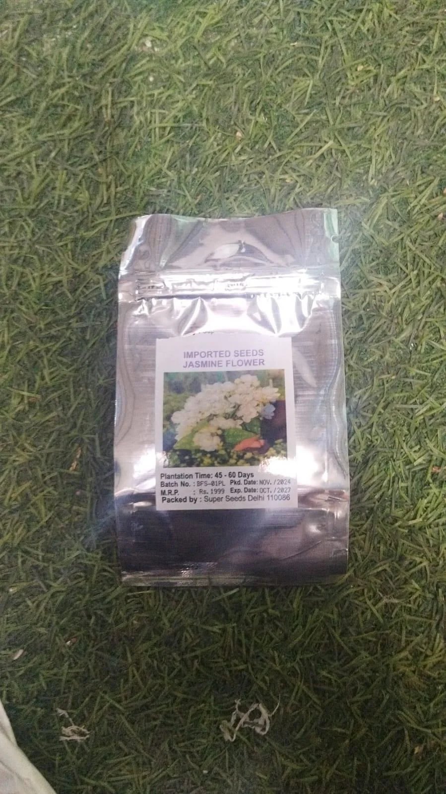 🌸100 Pcs Jasmine Seeds