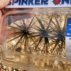 🔥LAST DAY 49% OFF🎣🐙 Tentacle Finesse Soft Plastic Lure