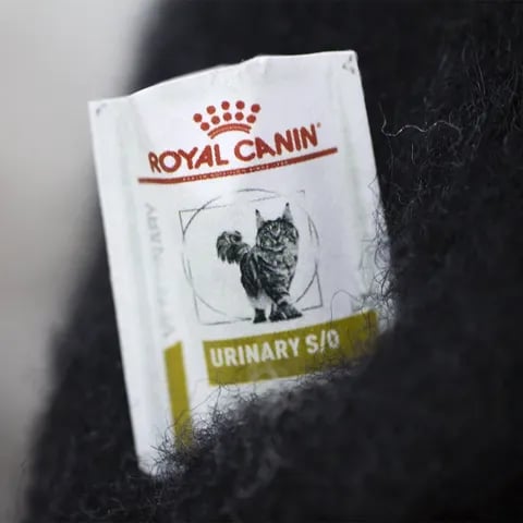 🎄Christmas Sale 49% Off 🧵✨Wool Felt Familiars – Quirky Handmade Companions