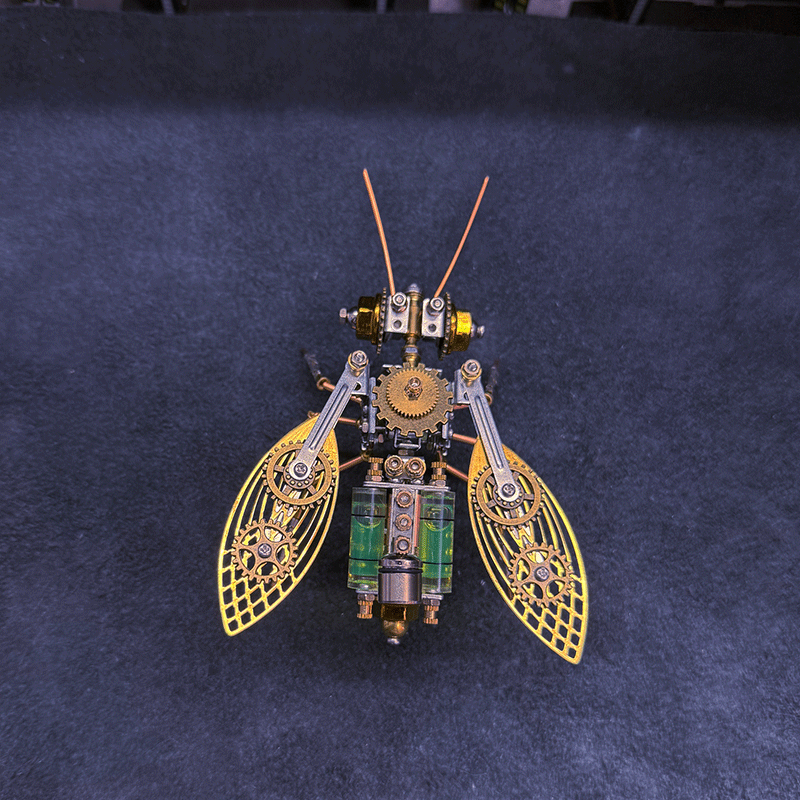 Educational Green Energy Wasp Puzzle Kit for STEM Learning Fun