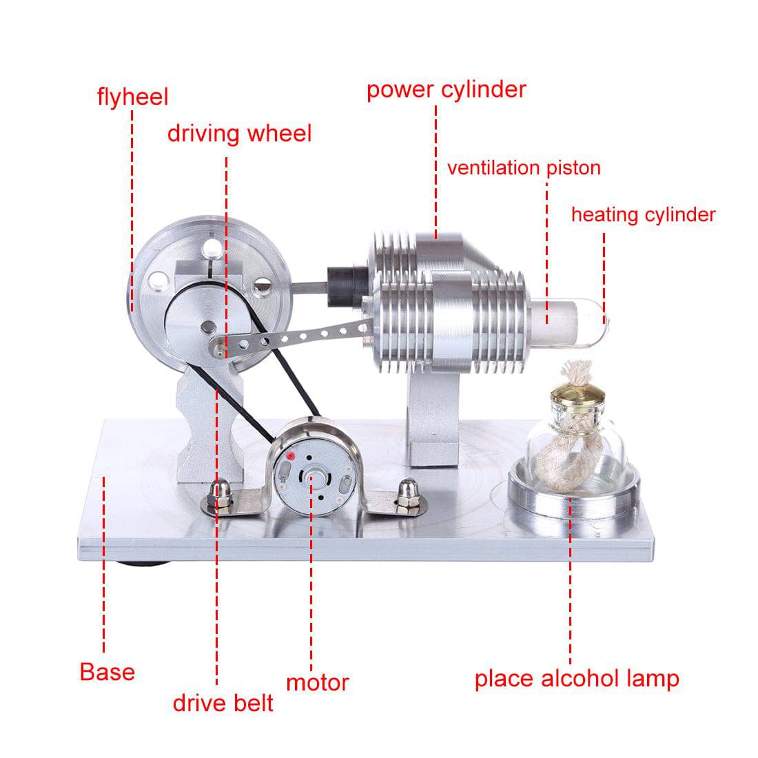 Double Cylinder Stirling Engine Generator Model Science Experiment Toy with LED Bulb
