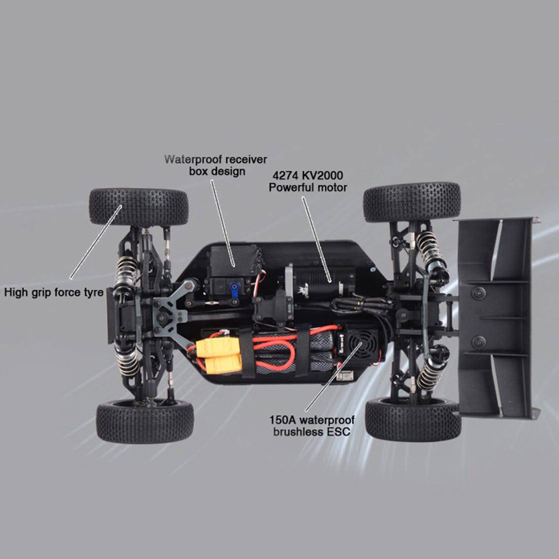 FS Racing 1:8 Scale 4WD High Speed Brushless RC Buggy RTR All-Terrain Off-Road Car
