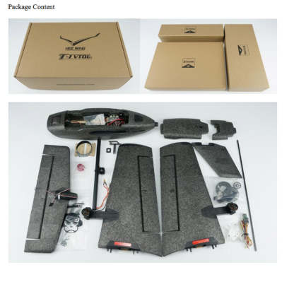 HEEWING Ranger T1 VTOL FPV RC Plane RTF Dual Motor EPP Wing