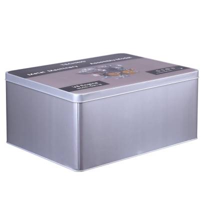 Teching V8 Mechanical Metal Assembly DIY Car Engine Model Kit (500+ Pcs)-helloworld7