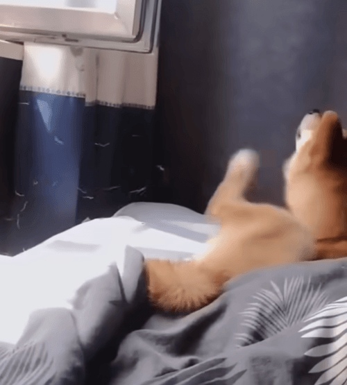 Honeycam 2026-09-02 15-57-14.gif