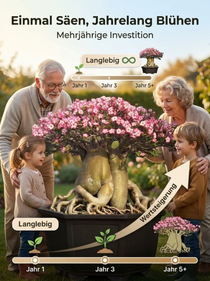 【25 Tage bis zur Blüte】Wüstenrose Knolle mit Trieb 🌺 | -20°C bis 40°C Extrem Robust | 300 Tage Dauerblüher | 100 Jahre Lebensdauer | Mit 100% Anwachsgarantie