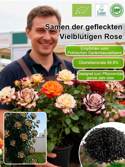 🌺Von der Saat zur Blütenwand in nur 4 Wochen! Mehrköpfige gepunktete Rosensamen | Winterhart & Immergrün ❄️ | Duftet intensiver als Rosen | 100% Anwachsgarantie ✅