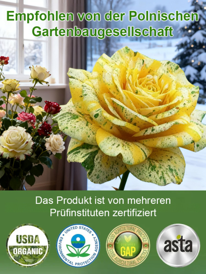 🌺Von der Saat zur Blütenwand in nur 4 Wochen! Mehrköpfige gepunktete Rosensamen | Winterhart & Immergrün ❄️ | Duftet intensiver als Rosen | 100% Anwachsgarantie ✅