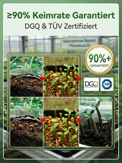 【25 Tage bis zur Blüte】Wüstenrose Knolle mit Trieb 🌺 | -20°C bis 40°C Extrem Robust | 300 Tage Dauerblüher | 100 Jahre Lebensdauer | Mit 100% Anwachsgarantie