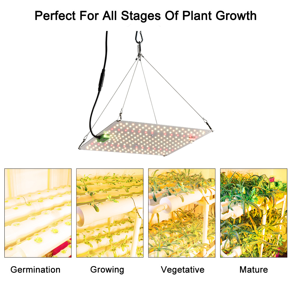 150 W Vollspektrum-Quantenpflanzenlicht