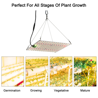 150 W Vollspektrum-Quantenpflanzenlicht