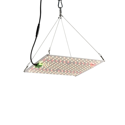 150 W Vollspektrum-Quantenpflanzenlicht