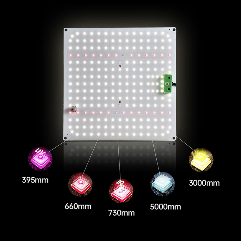 150 W Vollspektrum-Quantenpflanzenlicht