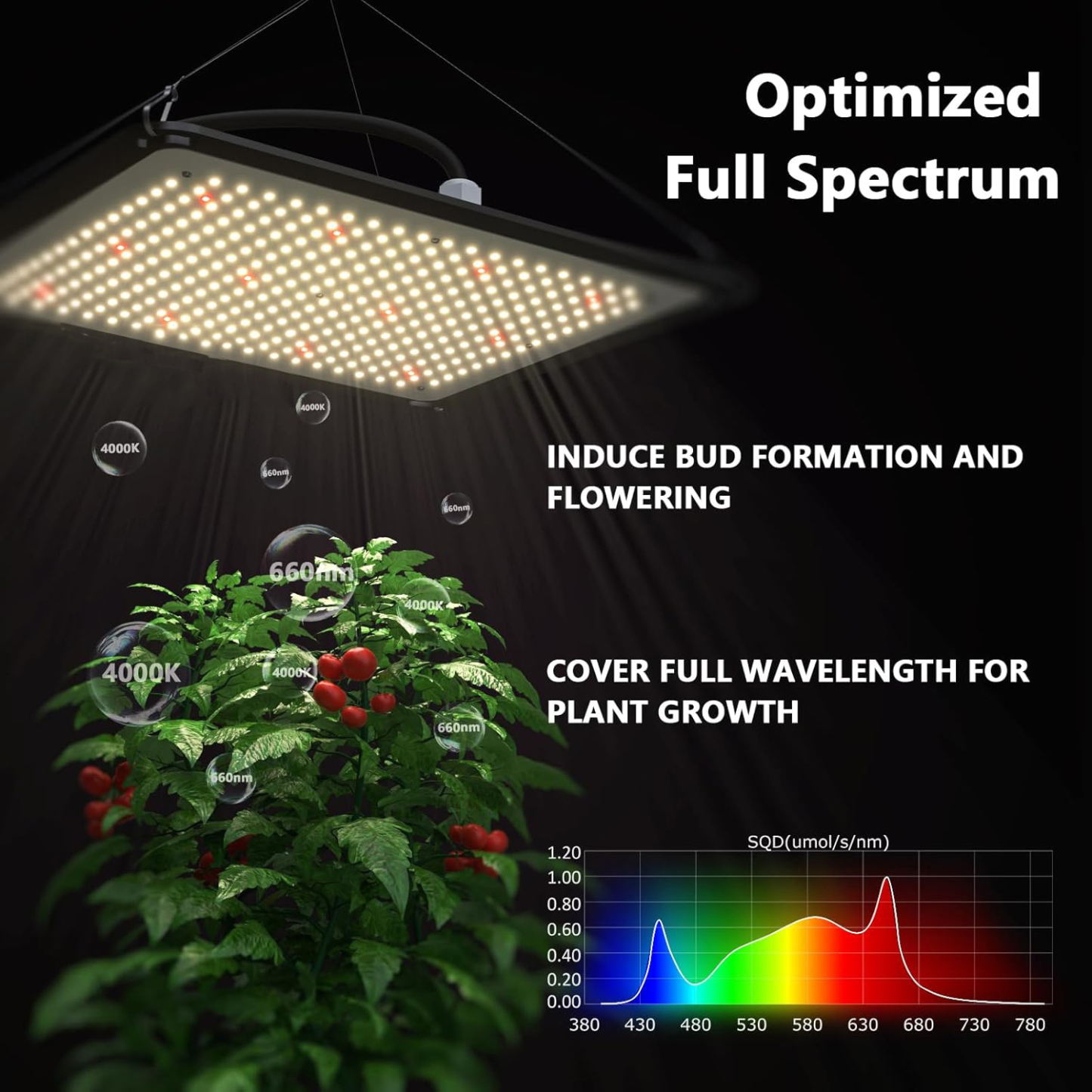 150 W Vollspektrum-Quantenpflanzenlicht