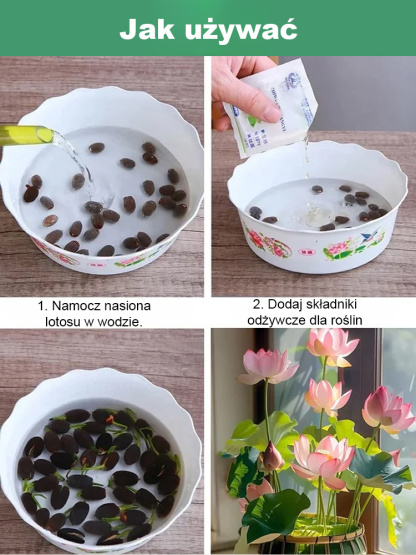 【Może kwitnąć normalnie do -20℃】🌼 Kwitnące w wodzie! Naturalny oczyszczacz powietrza! Pachnący dom ozdobiony pachnącymi lotosami uprawianymi hydroponicznie 🌼