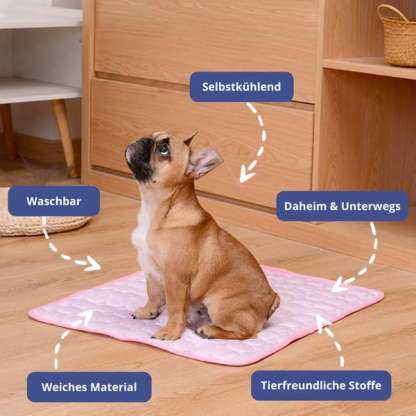 🔥Summer Hot Sale 49% OFF🧊Premium Cooling Mat For Pet