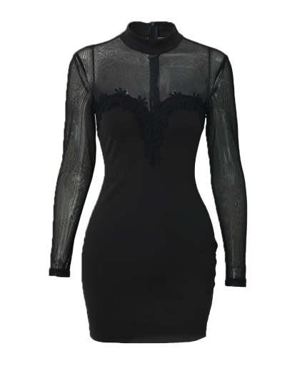 Shimmering Mesh Floral Embroidery Patchwork Round Neck Long Sleeve Bodycon Dress