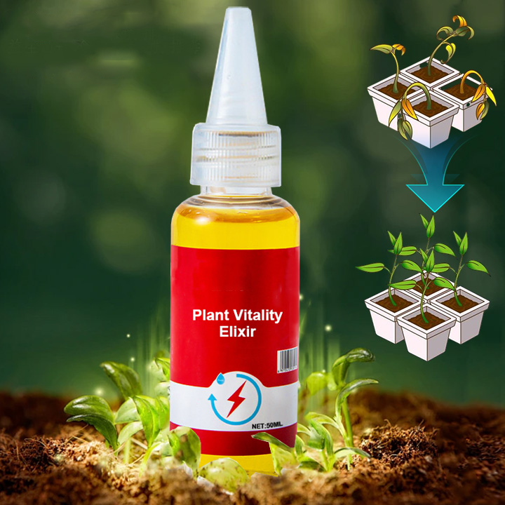 𝐀𝐧𝐧𝐢𝐞𝐂𝐚𝐫𝐞® 𝐏𝐟𝐥𝐚𝐧𝐳𝐥𝐢𝐜𝐡𝐞𝐬 𝐕𝐢𝐭𝐚𝐦𝐢𝐧-𝐖𝐚𝐜𝐡𝐬𝐭𝐮𝐦𝐬𝐬𝐞𝐫𝐮𝐦