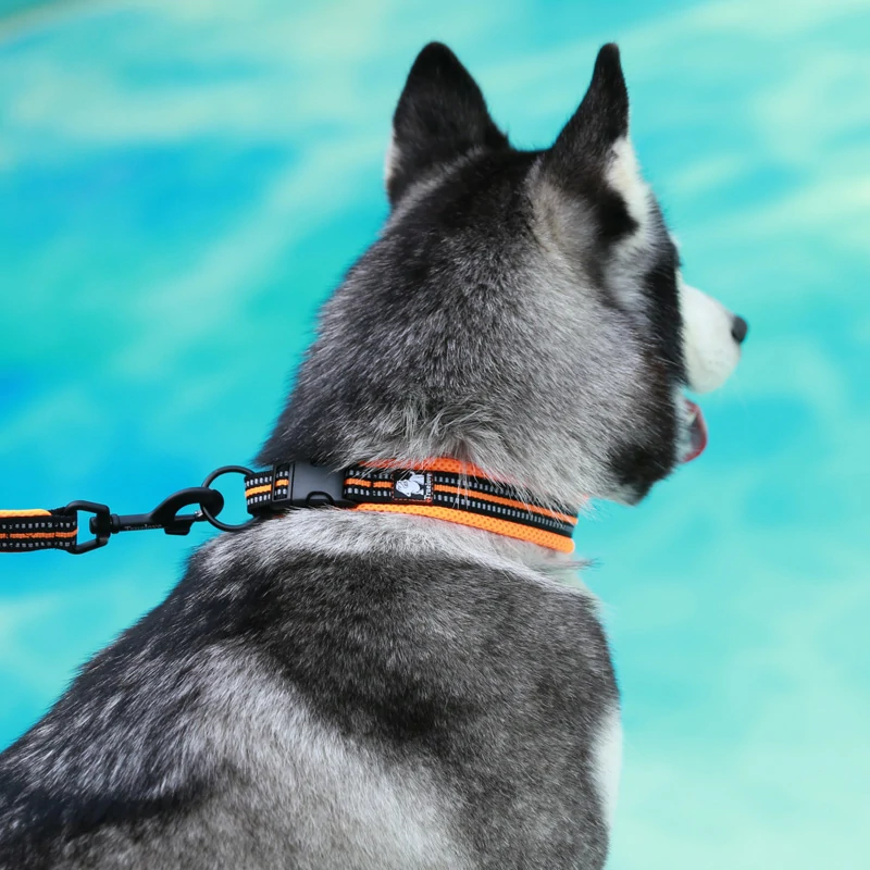 Outdoor Safety Breathable Anti-Strangulation Dog Collar