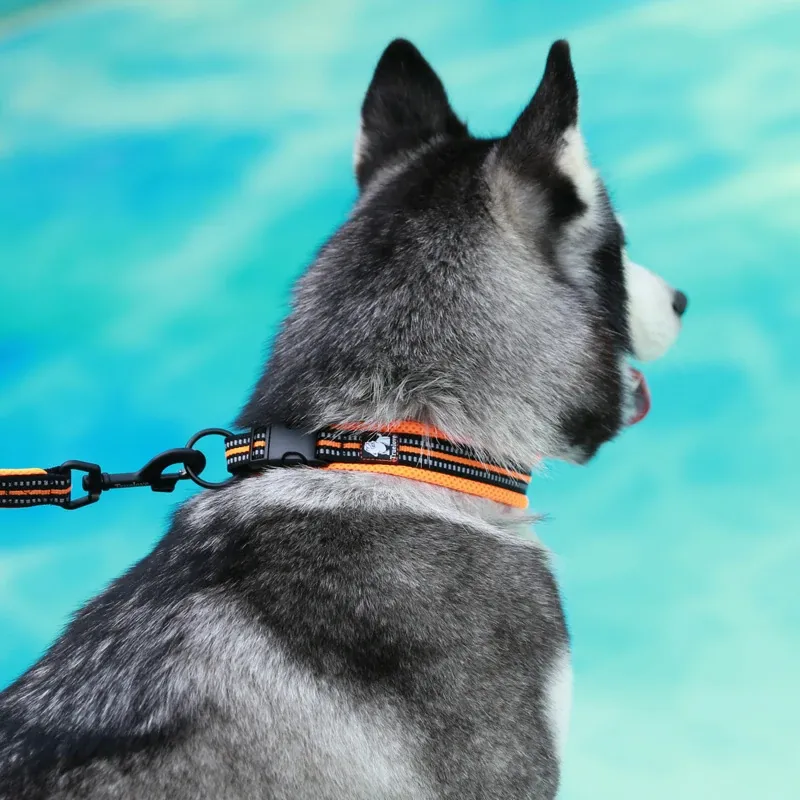Outdoor Safety Breathable Anti-Strangulation Dog Collar