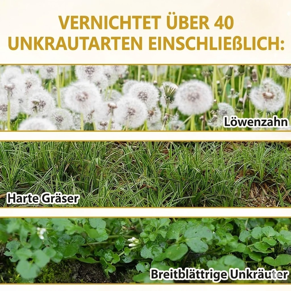 𝐎𝐟𝐟𝐢𝐳𝐢𝐞𝐥𝐥𝐞𝐫 𝐅𝐥𝐚𝐠𝐬𝐡𝐢𝐩-𝐒𝐭𝐨𝐫𝐞⏰Letzter Tag der Aktion: 60 % RABATT