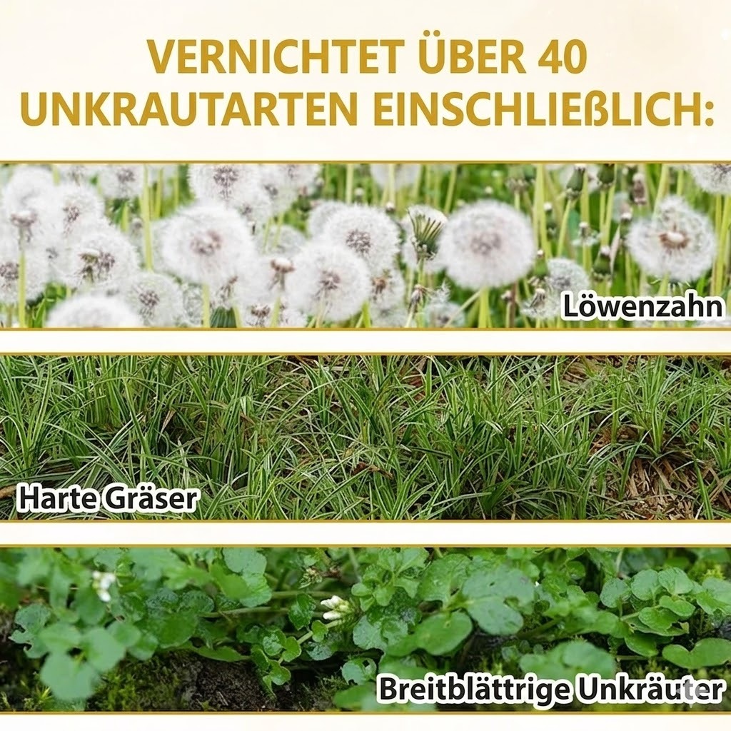 𝐎𝐟𝐟𝐢𝐳𝐢𝐞𝐥𝐥𝐞𝐫 𝐅𝐥𝐚𝐠𝐬𝐡𝐢𝐩-𝐒𝐭𝐨𝐫𝐞⏰Letzter Tag der Aktion: 60 % RABATT