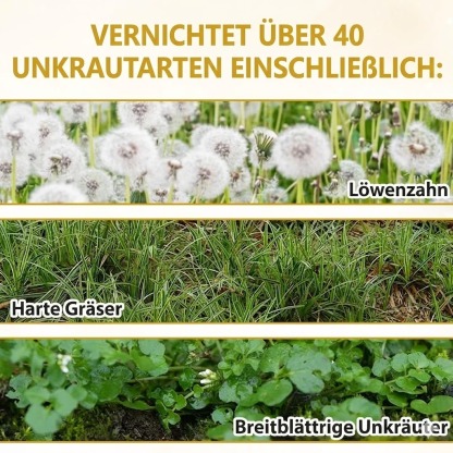 𝐎𝐟𝐟𝐢𝐳𝐢𝐞𝐥𝐥𝐞𝐫 𝐅𝐥𝐚𝐠𝐬𝐡𝐢𝐩-𝐒𝐭𝐨𝐫𝐞⏰Letzter Tag der Aktion: 60 % RABATT