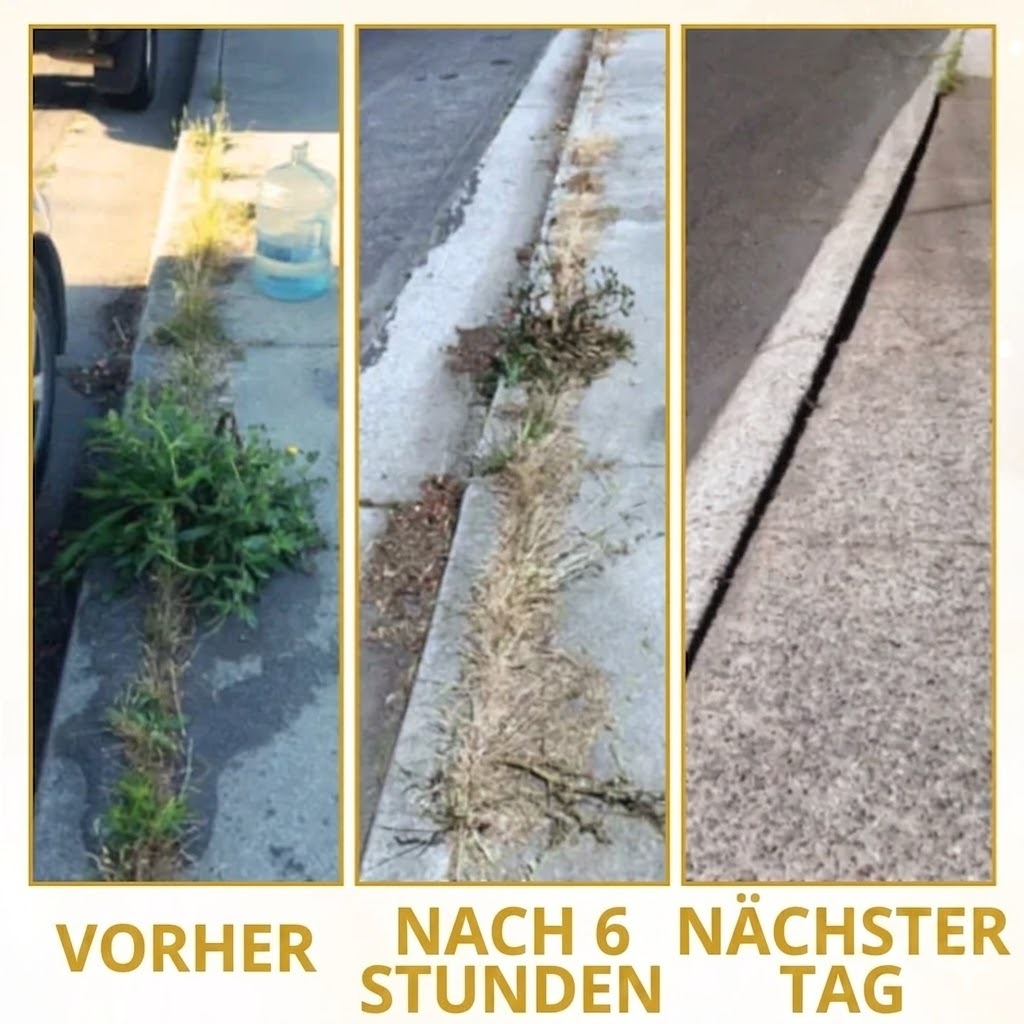 𝐎𝐟𝐟𝐢𝐳𝐢𝐞𝐥𝐥𝐞𝐫 𝐅𝐥𝐚𝐠𝐬𝐡𝐢𝐩-𝐒𝐭𝐨𝐫𝐞⏰Letzter Tag der Aktion: 60 % RABATT