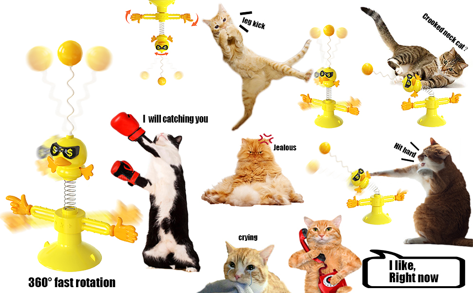 Windmill Interactive Cat Toy