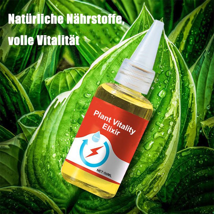 𝐀𝐧𝐧𝐢𝐞𝐂𝐚𝐫𝐞® 𝐏𝐟𝐥𝐚𝐧𝐳𝐥𝐢𝐜𝐡𝐞𝐬 𝐕𝐢𝐭𝐚𝐦𝐢𝐧-𝐖𝐚𝐜𝐡𝐬𝐭𝐮𝐦𝐬𝐬𝐞𝐫𝐮𝐦