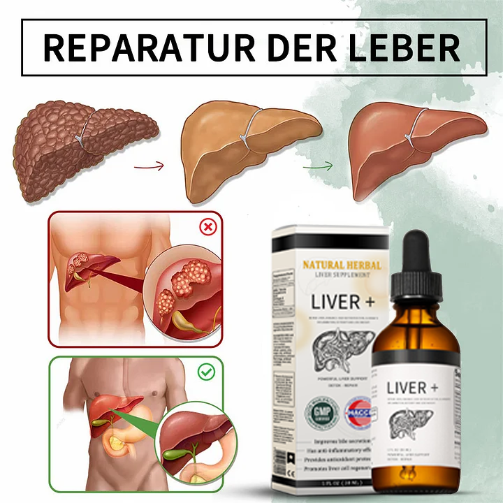 AnnieCare® Natürliches Leber-Kräuterpräparat – Starke Leberunterstützung – Entgiftung & Regeneration – Unterstützt gesunde Blutzucker- und Blutfettwerte