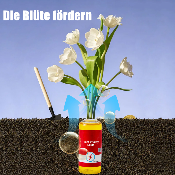 𝐀𝐧𝐧𝐢𝐞𝐂𝐚𝐫𝐞® 𝐏𝐟𝐥𝐚𝐧𝐳𝐥𝐢𝐜𝐡𝐞𝐬 𝐕𝐢𝐭𝐚𝐦𝐢𝐧-𝐖𝐚𝐜𝐡𝐬𝐭𝐮𝐦𝐬𝐬𝐞𝐫𝐮𝐦