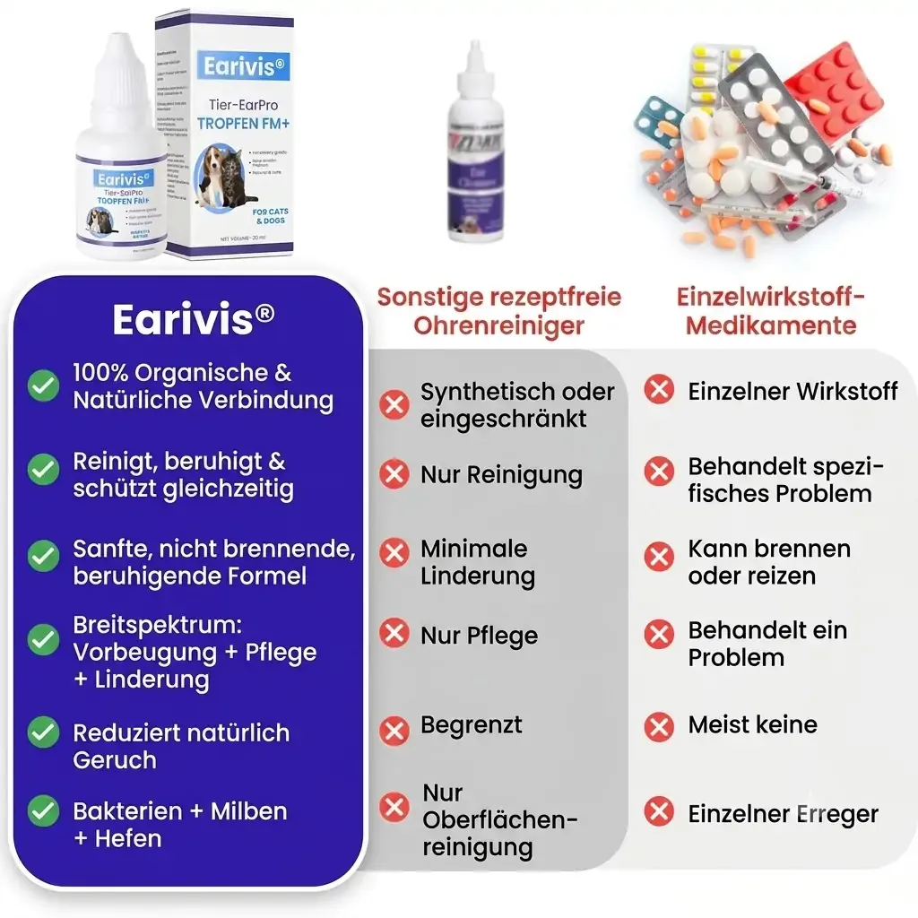【𝐎𝐟𝐟𝐢𝐳𝐢𝐞𝐥𝐥𝐞𝐫 𝐅𝐥𝐚𝐠𝐬𝐡𝐢𝐩-𝐒𝐭𝐨𝐫𝐞】⏰Letzter Tag der Aktion: 60 % RABATT