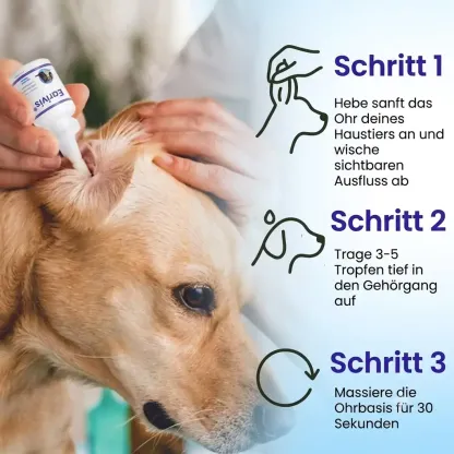 【𝐎𝐟𝐟𝐢𝐳𝐢𝐞𝐥𝐥𝐞𝐫 𝐅𝐥𝐚𝐠𝐬𝐡𝐢𝐩-𝐒𝐭𝐨𝐫𝐞】⏰Letzter Tag der Aktion: 60 % RABATT