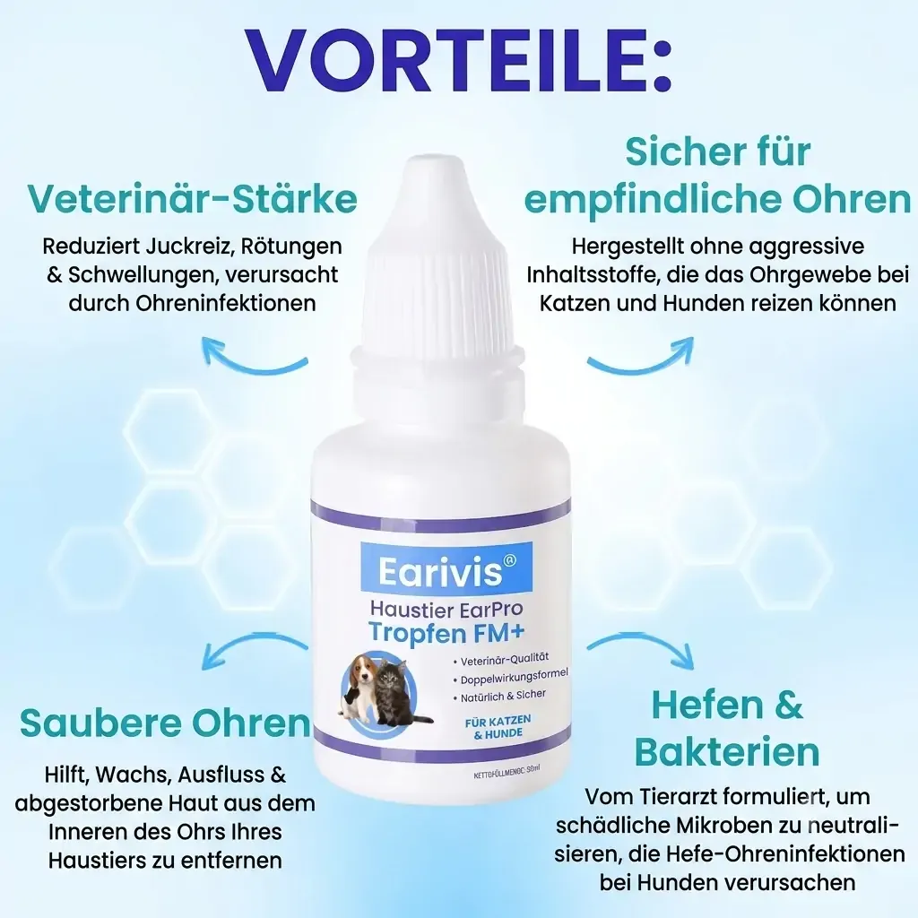 【𝐎𝐟𝐟𝐢𝐳𝐢𝐞𝐥𝐥𝐞𝐫 𝐅𝐥𝐚𝐠𝐬𝐡𝐢𝐩-𝐒𝐭𝐨𝐫𝐞】⏰Letzter Tag der Aktion: 60 % RABATT