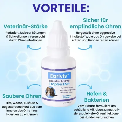 【𝐎𝐟𝐟𝐢𝐳𝐢𝐞𝐥𝐥𝐞𝐫 𝐅𝐥𝐚𝐠𝐬𝐡𝐢𝐩-𝐒𝐭𝐨𝐫𝐞】⏰Letzter Tag der Aktion: 60 % RABATT