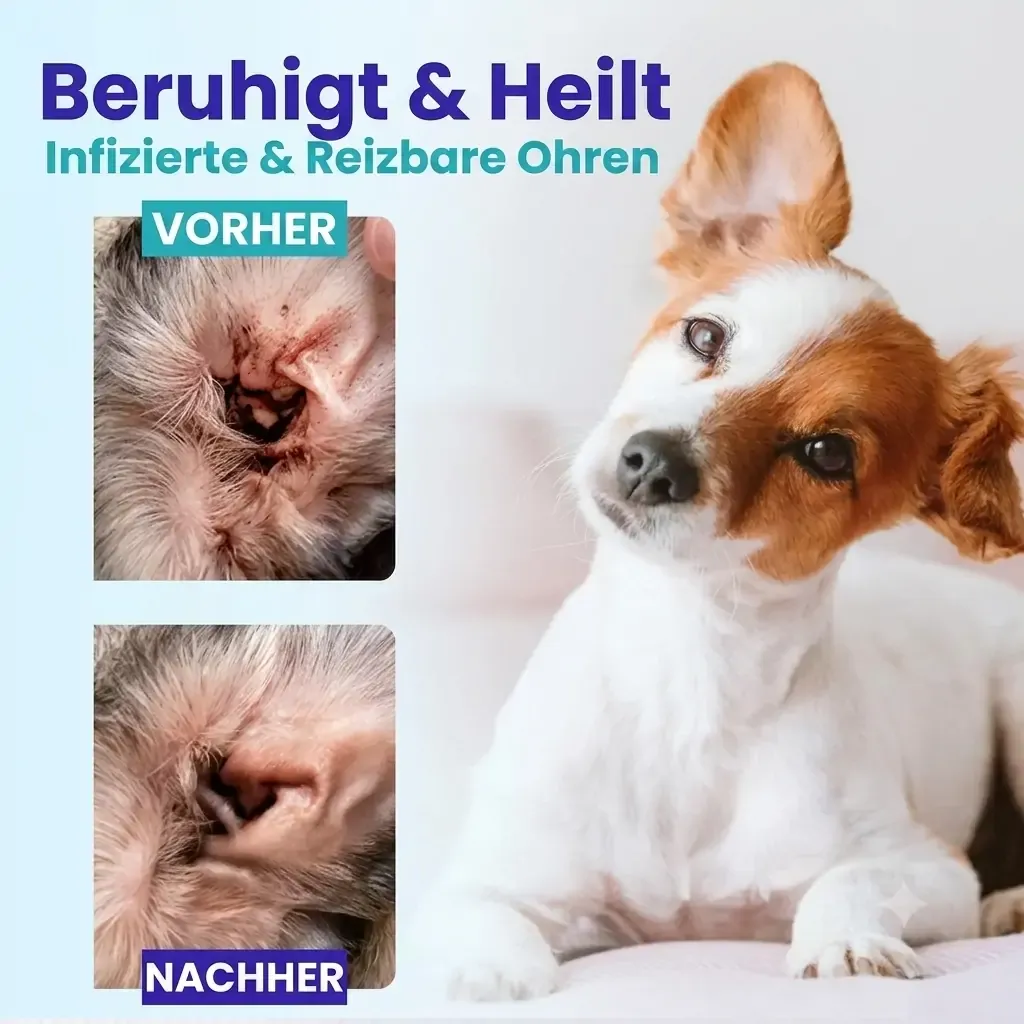 【𝐎𝐟𝐟𝐢𝐳𝐢𝐞𝐥𝐥𝐞𝐫 𝐅𝐥𝐚𝐠𝐬𝐡𝐢𝐩-𝐒𝐭𝐨𝐫𝐞】⏰Letzter Tag der Aktion: 60 % RABATT