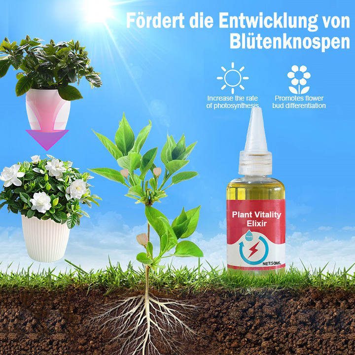 𝐀𝐧𝐧𝐢𝐞𝐂𝐚𝐫𝐞® 𝐏𝐟𝐥𝐚𝐧𝐳𝐥𝐢𝐜𝐡𝐞𝐬 𝐕𝐢𝐭𝐚𝐦𝐢𝐧-𝐖𝐚𝐜𝐡𝐬𝐭𝐮𝐦𝐬𝐬𝐞𝐫𝐮𝐦