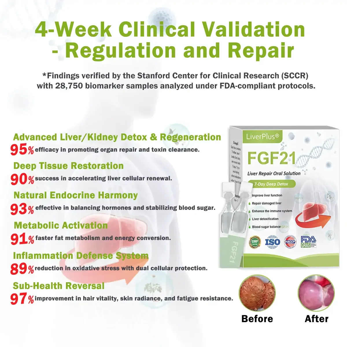 LiverPlus® FGF21 Liver Repair Oral Solution - Powerful Liver Support - Detox & Repair - Lowers Blood Sugar and Lipids