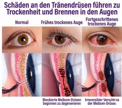 𝐎𝐟𝐟𝐢𝐳𝐢𝐞𝐥𝐥𝐞𝐫 𝐅𝐥𝐚𝐠𝐬𝐡𝐢𝐩-𝐒𝐭𝐨𝐫𝐞⏰Letzter Tag der Aktion: 60 % RABATT