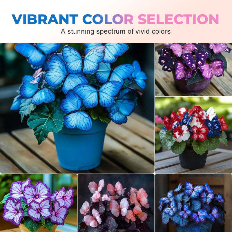 🦋 Märchenhafte schmetterlingsförmige Blumensamen ✨